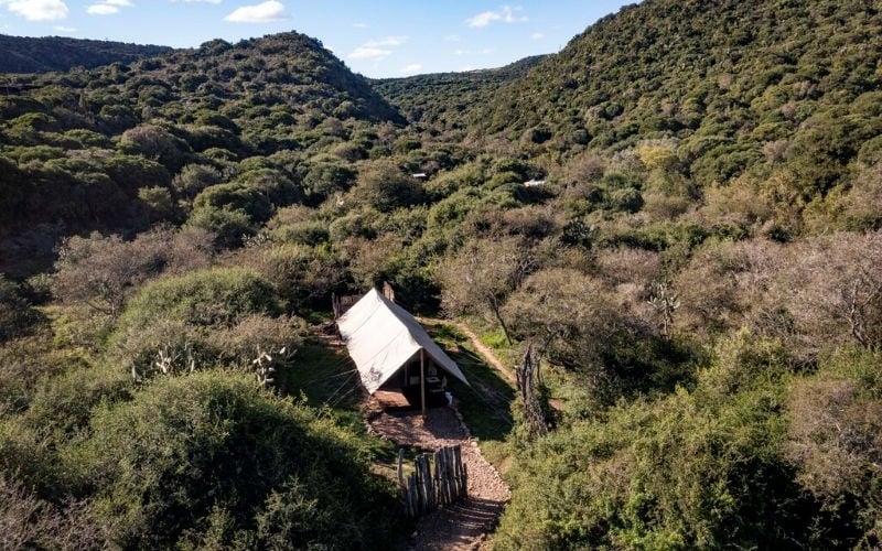 Quatermains 1920 Safari Camp